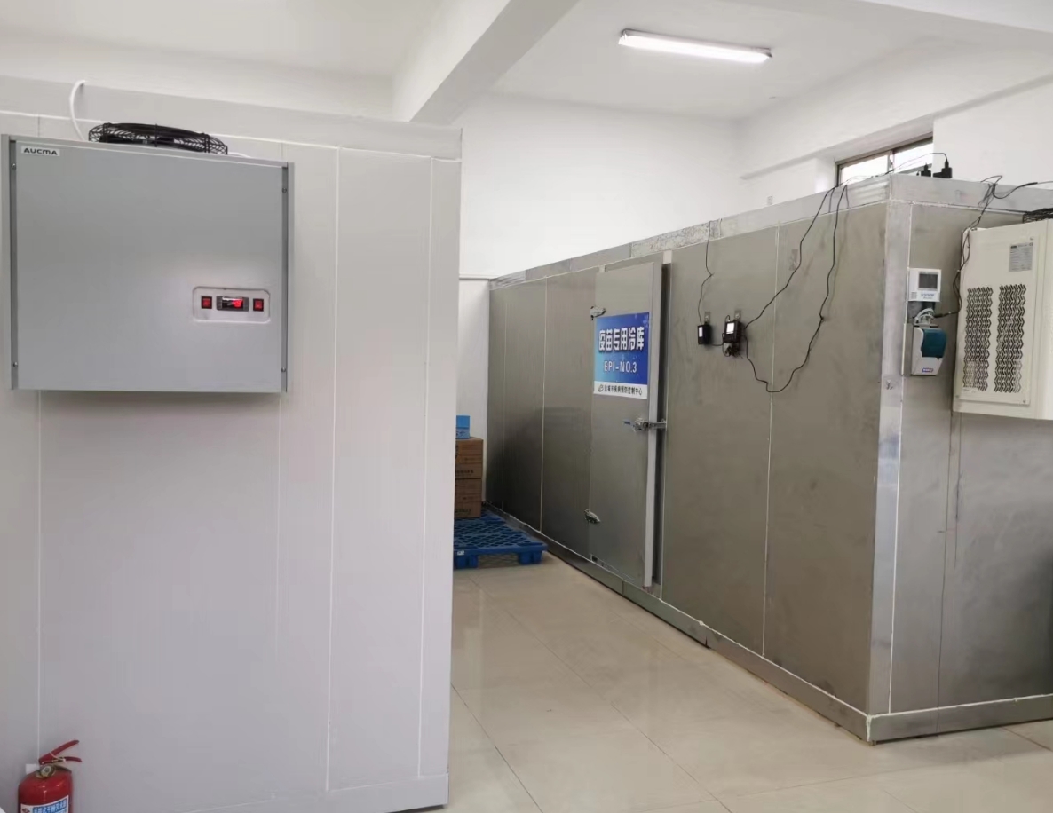 ����ҽҩ���